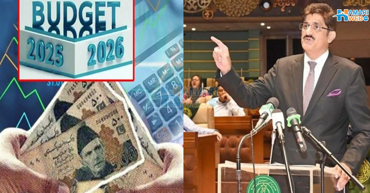اسکول ایجوکیشن کے بجٹ میں کمی جبکہ میگا منصوبوں کا ترقیاتی بجٹ کتنا بڑھا دیا گیا؟ سندھ حکومت کے فائنل بجٹ کا خاکہ تیار