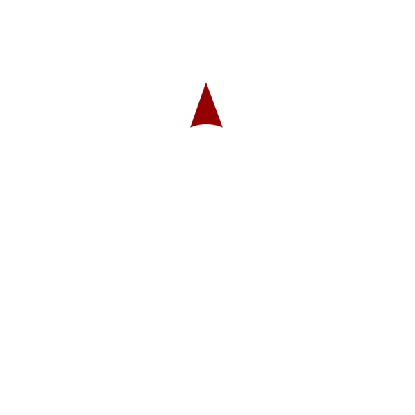 Qibla compass needle direction