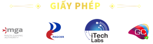 Giấy phép ae888